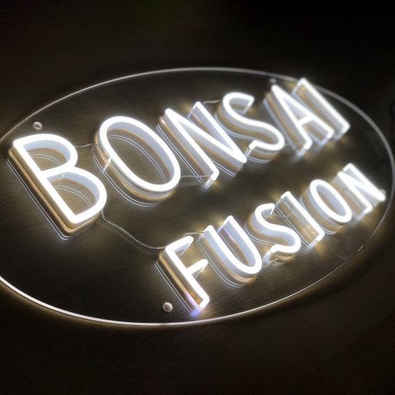 BonsaiFusion